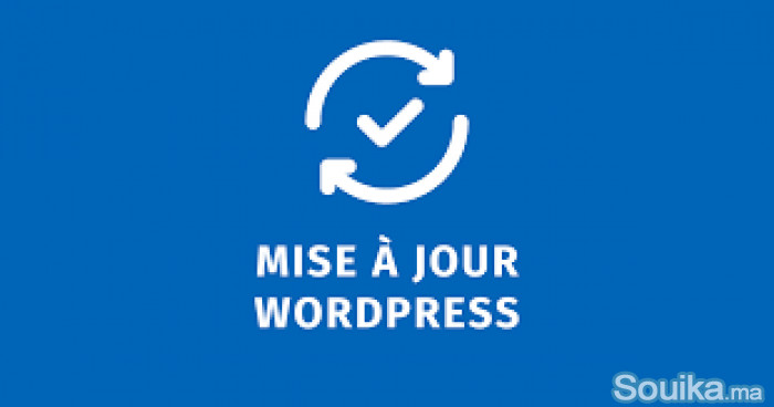 Mise à jour de Site web WordPress