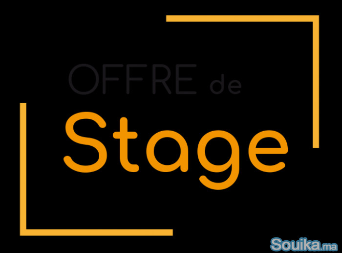 Stage en marketing digital