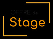 Stage en marketing digital